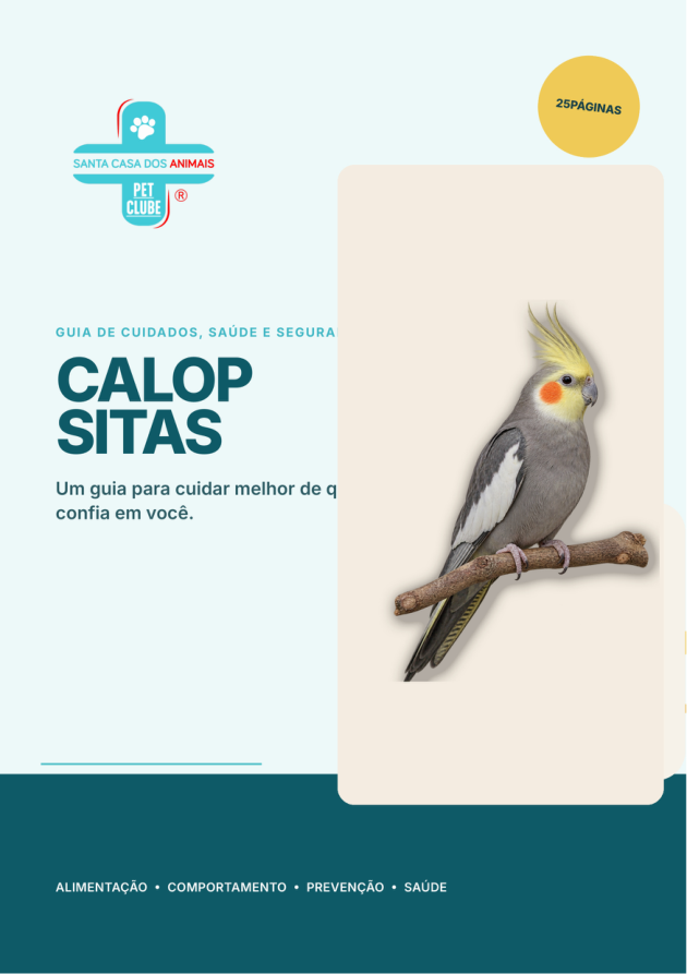 Capa do guia de cuidados, saúde e segurança para calopsitas